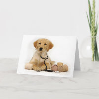 Golden Puppy Doctor