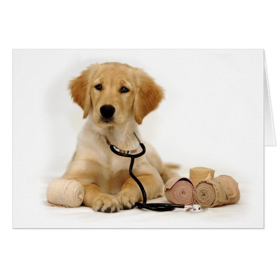 Golden Puppy Doctor Card