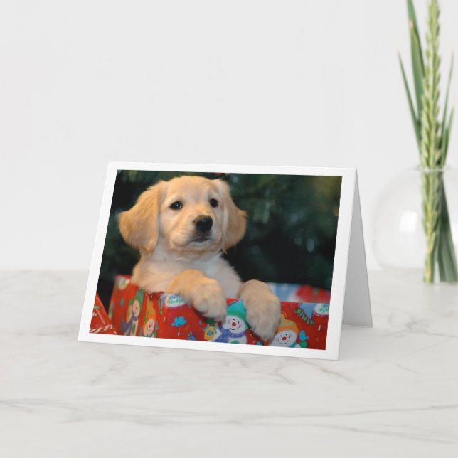 Golden Puppy Gift Christmas Card (Front)