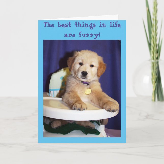 Golden Puppy in Highchair - New Pet Card (Front)