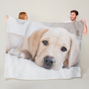 golden puppy Labrador blanket