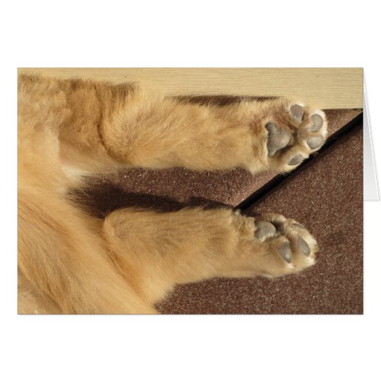 Golden Puppy Two Paws Card