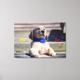Golden Puppy with Bandana - Canvas Print