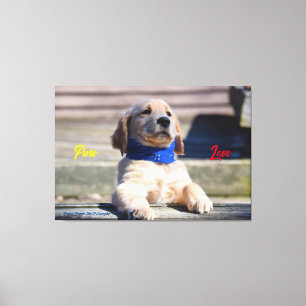 Golden Puppy with Bandana  - Canvas Print