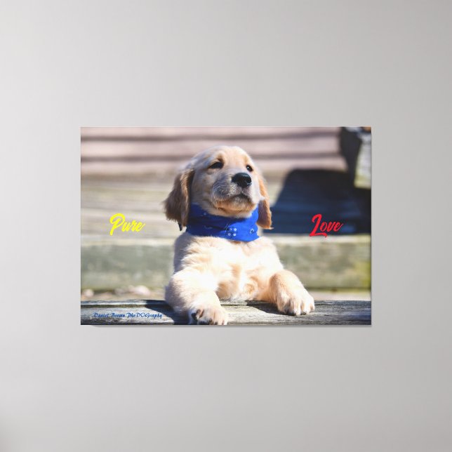 Golden Puppy with Bandana  - Canvas Print (Front)