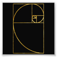 Golden Ratio Sacred Fibonacci Spiral