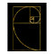 Golden Ratio Sacred Fibonacci Spiral
