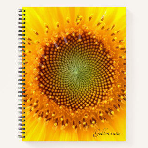Golden Ratio sunflower spiral notebook