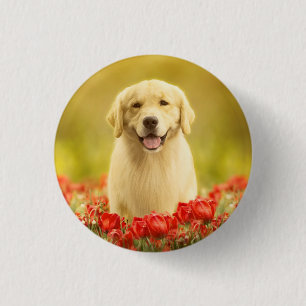 Golden Retirever in Red Flowers 1 Inch Round Button
