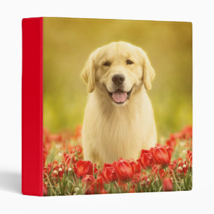 Golden Retirever in Red Flowers Binder