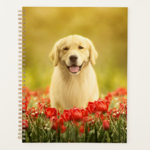 Golden Retirever in Red Flowers Planner
