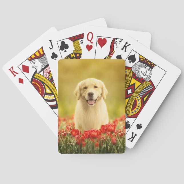 Golden Retirever in Red Flowers Playing Cards (Back)