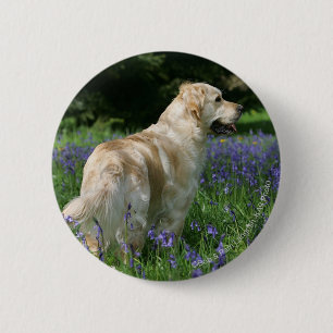 Golden Retreiver in Flowers 2 Inch Round Button