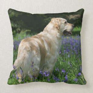 Golden Retreiver in Flowers Throw Pillow