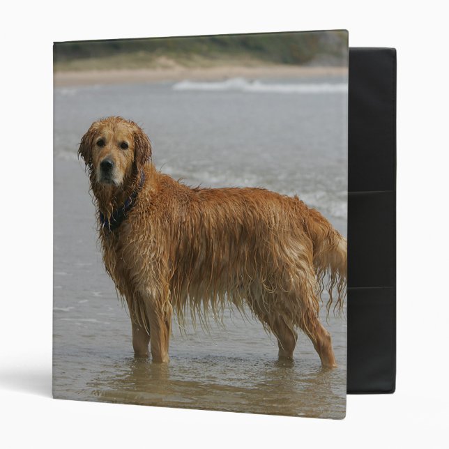Golden Retreiver in the Sea Binder (Front/Inside)