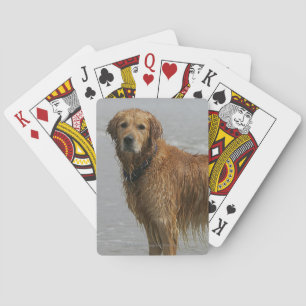 Golden Retreiver in the Sea Playing Cards
