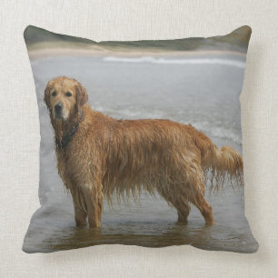Golden Retreiver in the Sea Throw Pillow