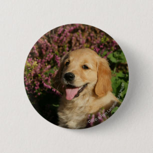 Golden Retreiver Puppy 2 Inch Round Button