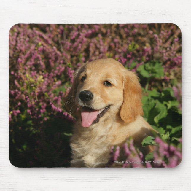 Golden Retreiver Puppy Mouse Pad (Front)