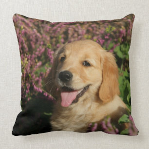 Golden Retreiver Puppy Throw Pillow