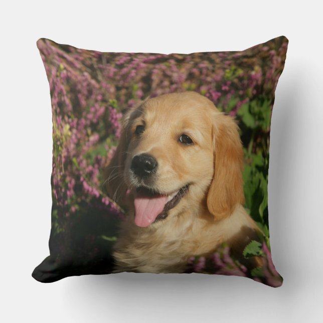 Golden Retreiver Puppy Throw Pillow (Front)