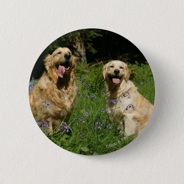 Golden Retreivers in Grass 2 Inch Round Button (Front)
