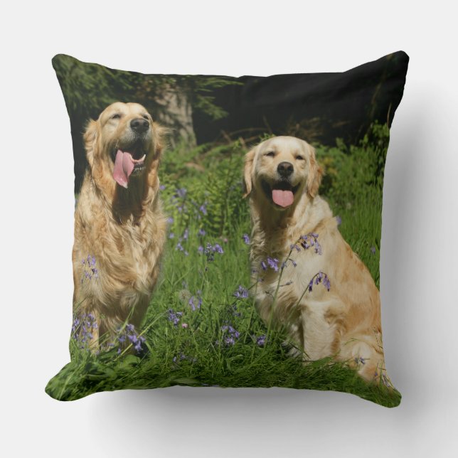 Golden Retreivers in Grass Throw Pillow (Front)