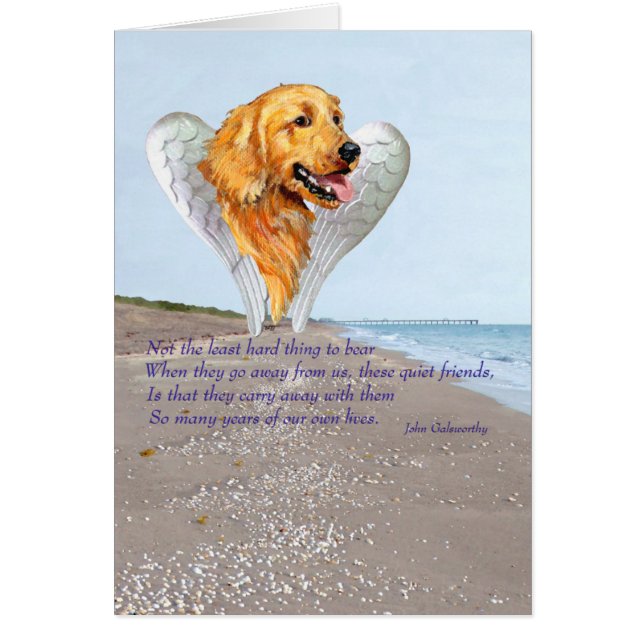 Golden Retriever (Devant)