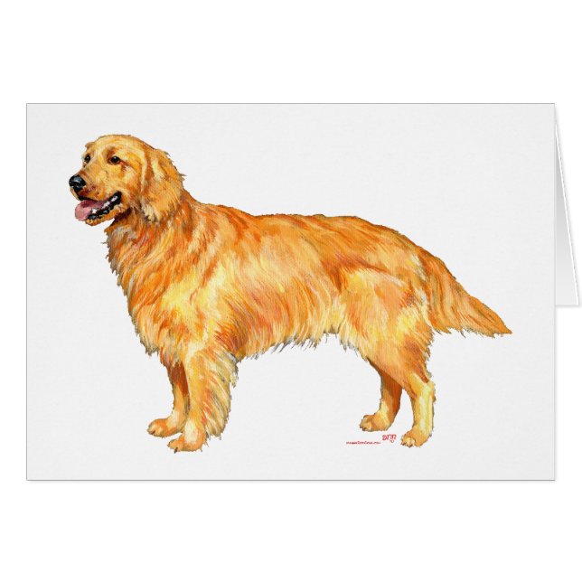 Golden Retriever (Front Horizontal)