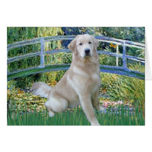 Golden Retriever 10 - Bridge