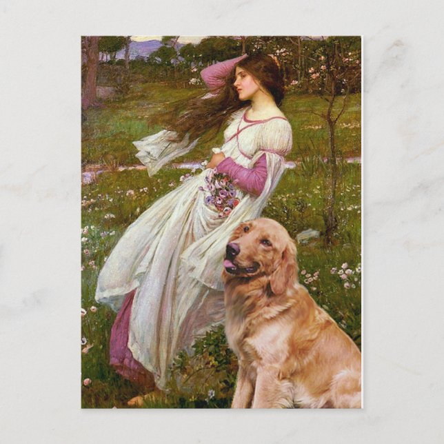 Golden Retriever 1 - Windflowers Postcard (Front)