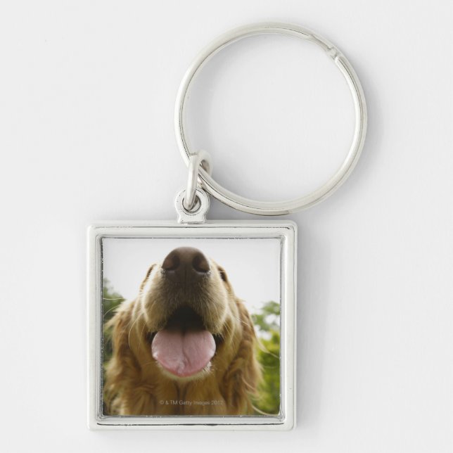 Golden Retriever 5 Keychain (Front)