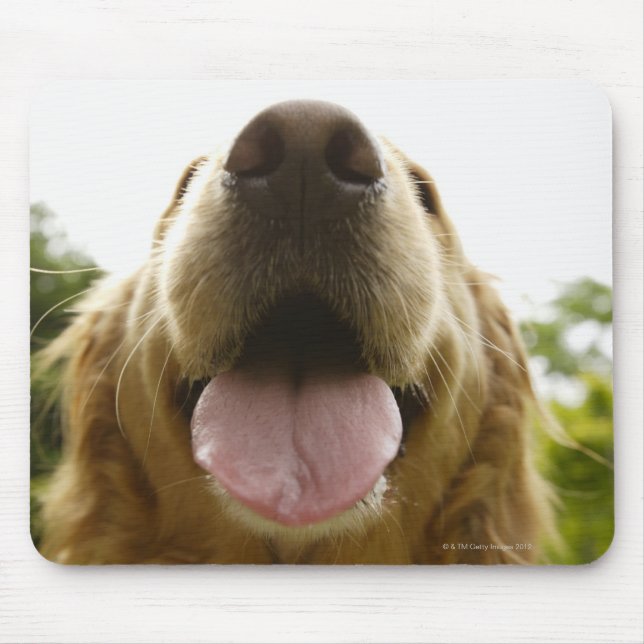 Golden Retriever 5 Mouse Pad (Front)