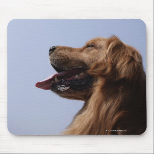 Golden Retriever 6 Mouse Pad