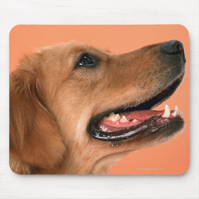 Golden Retriever 7 Mouse Pad (Front)