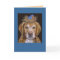 golden retriever and bluebird card