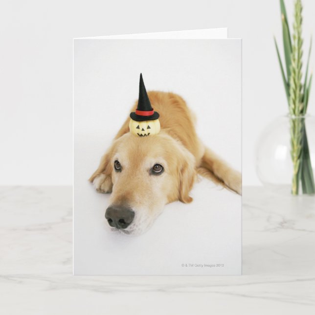 Golden retriever and ornament card (Front)