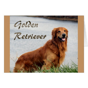 Golden Retriever Art