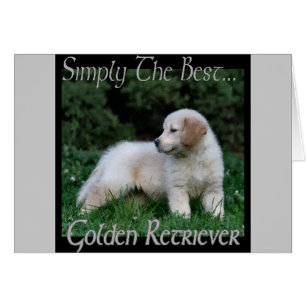 Golden Retriever Art Gifts