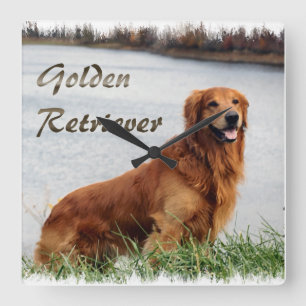 Golden Retriever Art Square Wall Clock