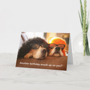 Golden Retriever Autre carte de voeux anniversaire