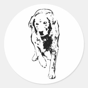 Golden Retriever Autumn Stride Classic Round Sticker