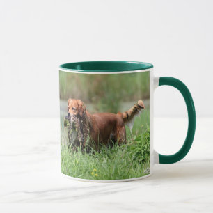 Golden retriever avec la tasse de canard