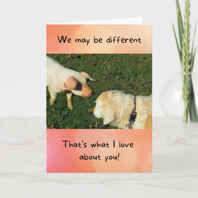 Golden Retriever avec Pig Funny Anniversaire carte (Devant)