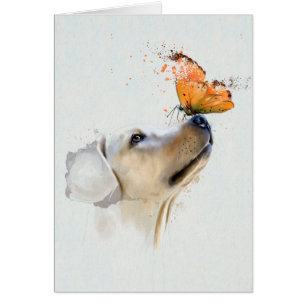 Golden retriever avec un papillon sur son nez