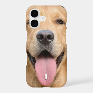 Golden Retriever avec une Pilule