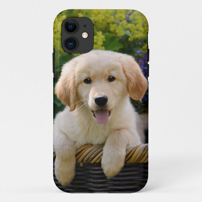 Golden Retriever Baby Dog Puppy Funny Pet Photo -- Case-Mate iPhone Case (Back)
