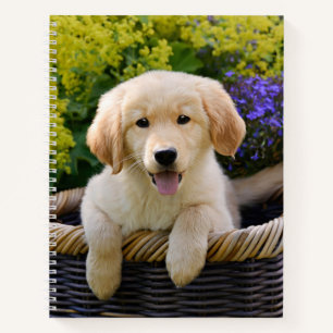Golden Retriever Baby Dog Puppy Funny Pet Photo * Notebook