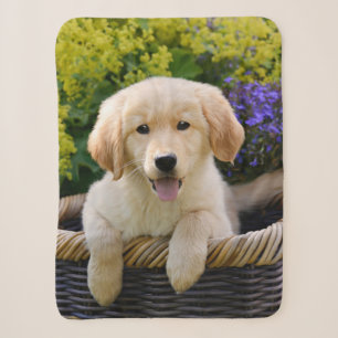 Golden Retriever Baby Dog Puppy Funny Pet Photo Sherpa Blanket