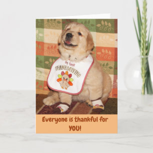 Golden Retriever Baby’s First Thanksgiving  Holiday Card